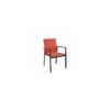 Fauteuil De Jardin Delia Empilable En Aluminium Graphite - Graphite / Rouge 1 Fauteuil De Jardin Delia Empilable En Aluminium Graphite - Graphite / Rouge -Petit Coin Vert Magasin fauteuil de jardin delia empilable aluminium graphite 1