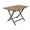 Table De Jardin Sophie Pliante En Bois D'eucalyptus - 110 X 70 Cm 2 Table De Jardin Sophie Pliante En Bois D'eucalyptus - 110 X 70 Cm -Petit Coin Vert Magasin table de jardin sophie pliante bois d eucalyptus proloisirs 5